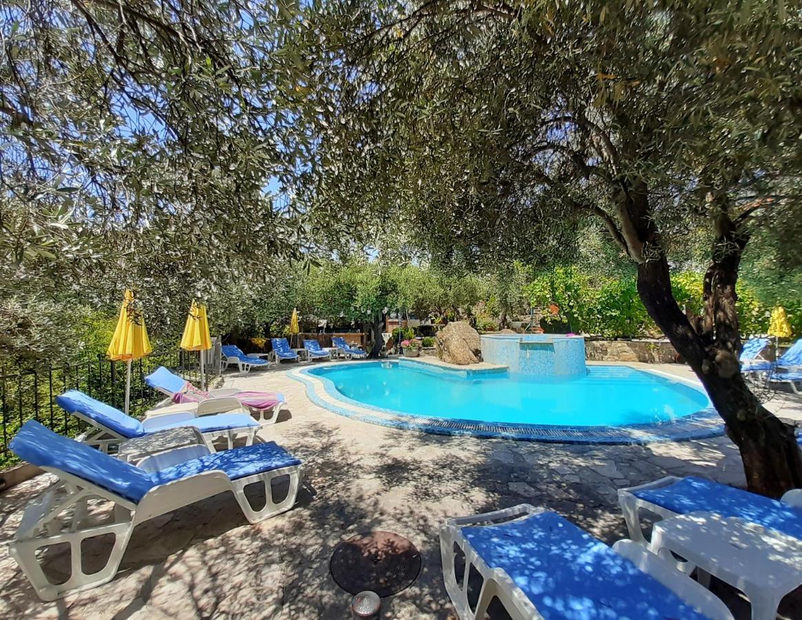 Resort "Maslinjak" Bečići Esterno foto