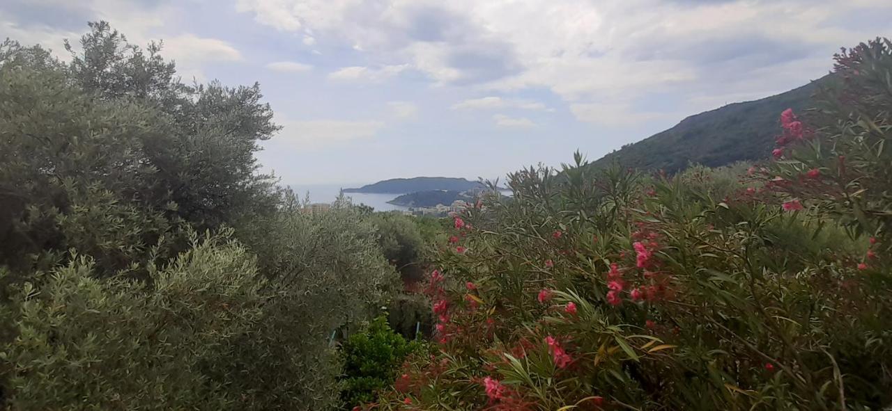 Resort "Maslinjak" Bečići Esterno foto
